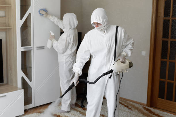 Affordable Infectious Disease Decontamination solutions in Wallace, CA